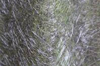 Kettlestone fibreglass roof work